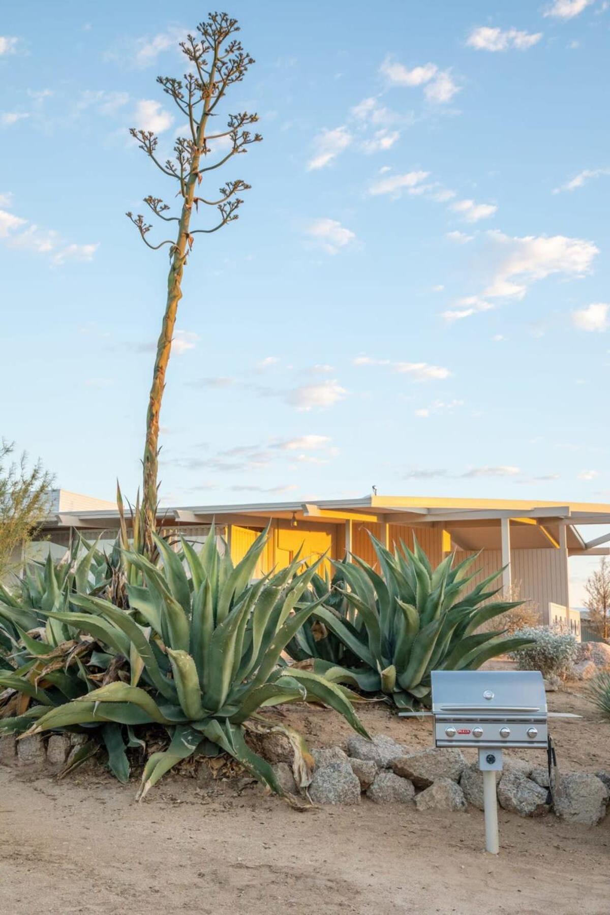 The Bungalows By Homestead Modern Joshua Tree Bagian luar foto